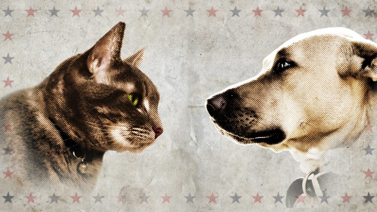 CAT VS. DOG – DIE TIERTHERAPIE