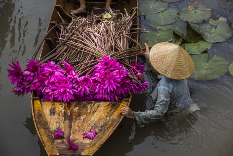 Mekong – Leben am großen Fluss – Vietnam